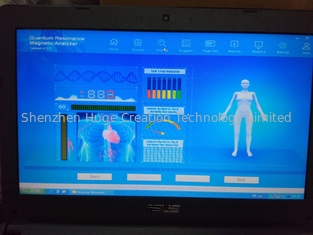 China Romanian Language Software Version 44 Reports Quantum Body analyzer Silver Color Box supplier