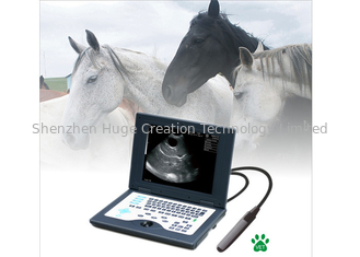 China CLS5800 laptop Veterinary Ultrasound Scanner Full Digital Ultrasonic Diagnostic System supplier