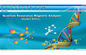 Quantum Bio-Electric Whole Health Analyzer , Malaysia 36 Reports supplier