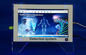 14 Inch Touch Screen Quantum Body Health Analyzer Windows XP / Win 7 supplier