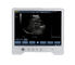 TS20 Digital Diagnostic Ultrasound System for Obstetrics and Gynecology Department supplier