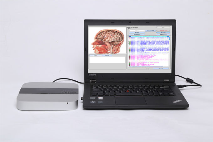 Quantum 9D NLS Health Analyzer Body Composition Testing Machine