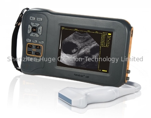 China Monochrome Display Veterinary Ultrasound Scanner L60 With 32 Digital Channels supplier