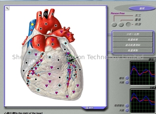 China Body Composition 3d Nls Health Analyzer For Body Detection / Repair Treatment supplier