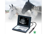 China CLS5800 laptop Veterinary Ultrasound Scanner Full Digital Ultrasonic Diagnostic System factory