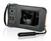 Monochrome Display Veterinary Ultrasound Scanner L60 With 32 Digital Channels supplier