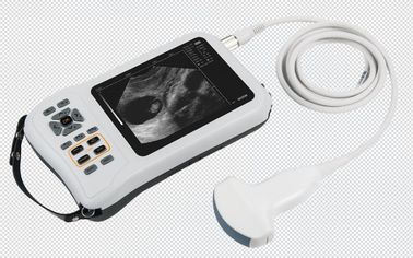 5.8 inch Mobile Ultrasound Machine Fetal Doppler scanner FarmScan® L60 human supplier