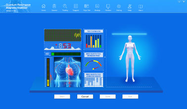 Body Composition Quantum Magnetic Resonance Health Analyzer Small supplier