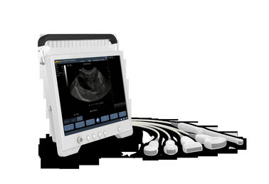 TS20 Digital Diagnostic Ultrasound System for Obstetrics and Gynecology Department supplier