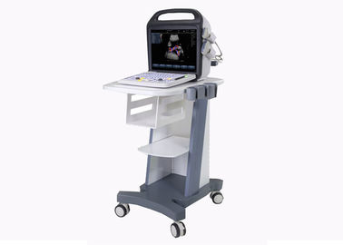 BCU -30 PRO Mobile Ultrasound Machine , Portable Color Doppler Ultrasound Systerm 15 inch LED Dispay supplier