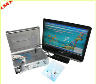 English Version Silver Quantum Bio - electric Body Health Analyzer AH - Q7 supplier