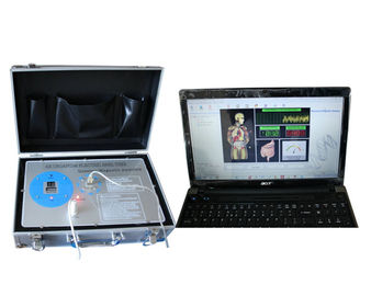 AH - Q1Spanish 34 Reports Quantum Magnetic Resonance Body Analyzer For Health supplier