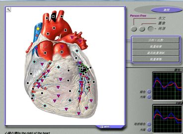 Body Composition 3d Nls Health Analyzer For Body Detection / Repair Treatment supplier