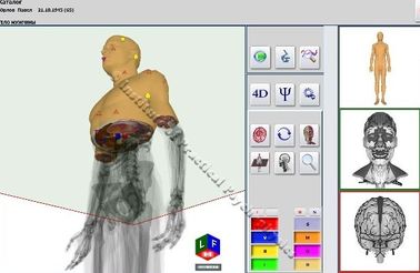 Full Body 3d Nls Health Analyzer Portable Quantum Resonance Magnetic Health Test supplier