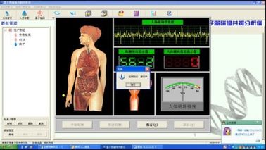 Bio-Resonance Practitioner Quantum Body Health Analyzer Computer Aided Testing System supplier