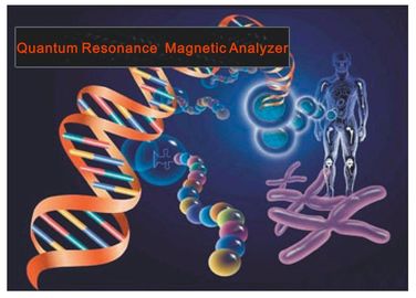 Bio-Resonance Practitioner Quantum Body Health Analyzer Computer Aided Testing System supplier