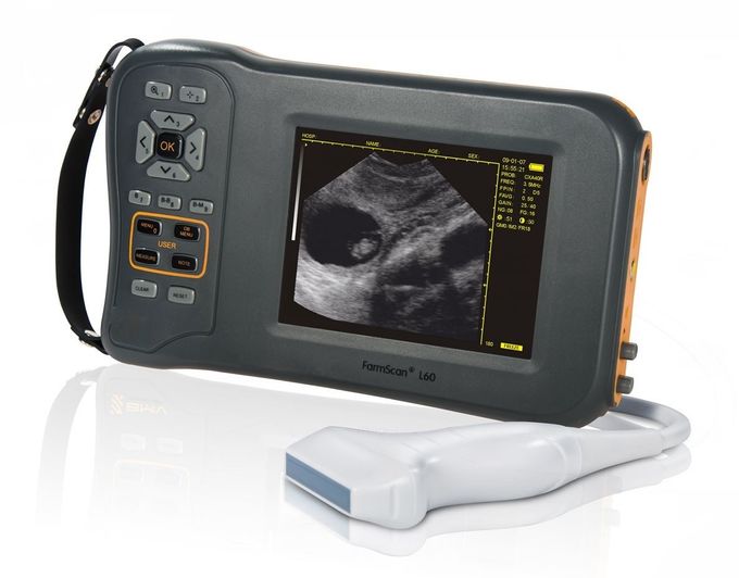 Monochrome Display Veterinary Ultrasound Scanner L60 With 32 Digital Channels